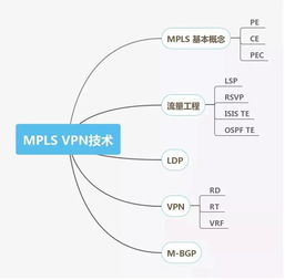 網絡工程師技能圖譜 從基礎架構到前沿技術的全面掌握